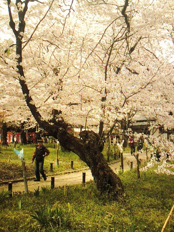 Orange Inn Kyoto Eksteriør bilde